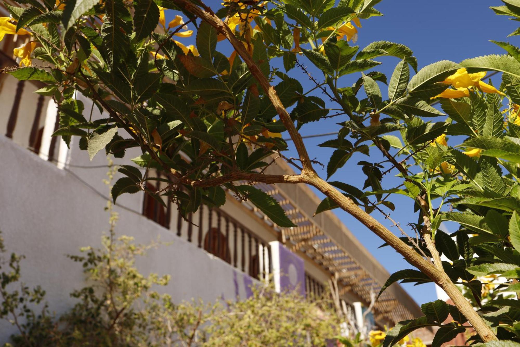 Auberge de jeunesse Nook à Dahab Extérieur photo