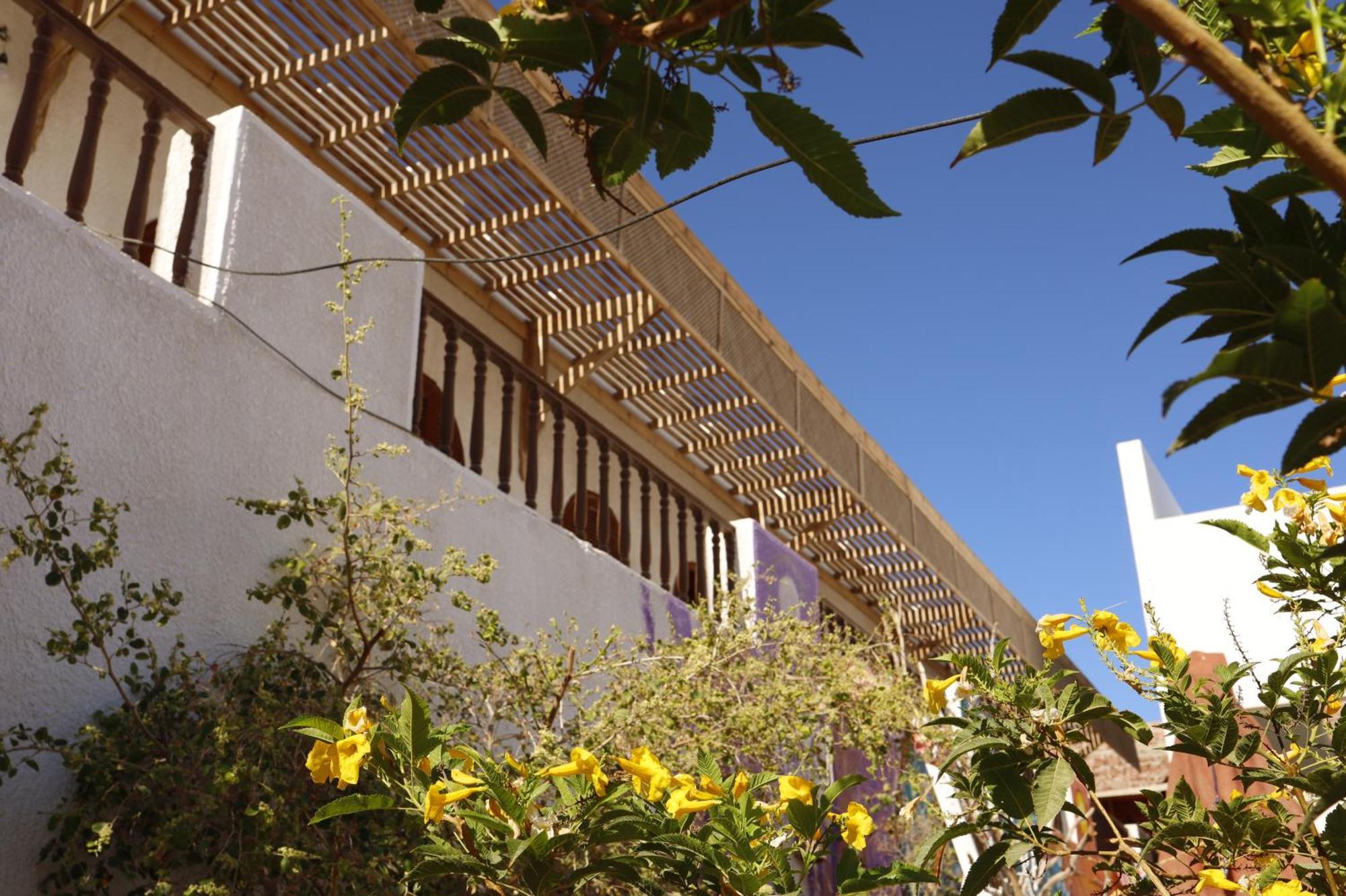 Auberge de jeunesse Nook à Dahab Extérieur photo