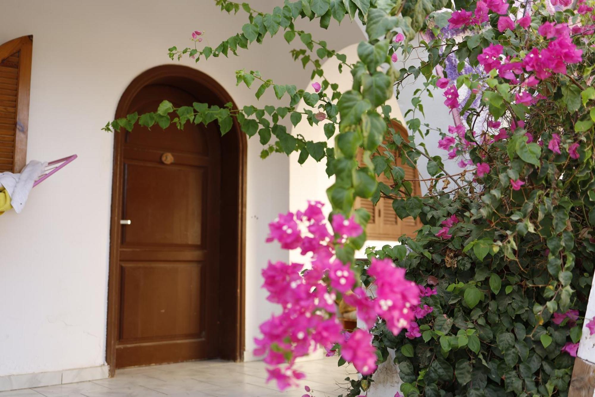 Auberge de jeunesse Nook à Dahab Extérieur photo