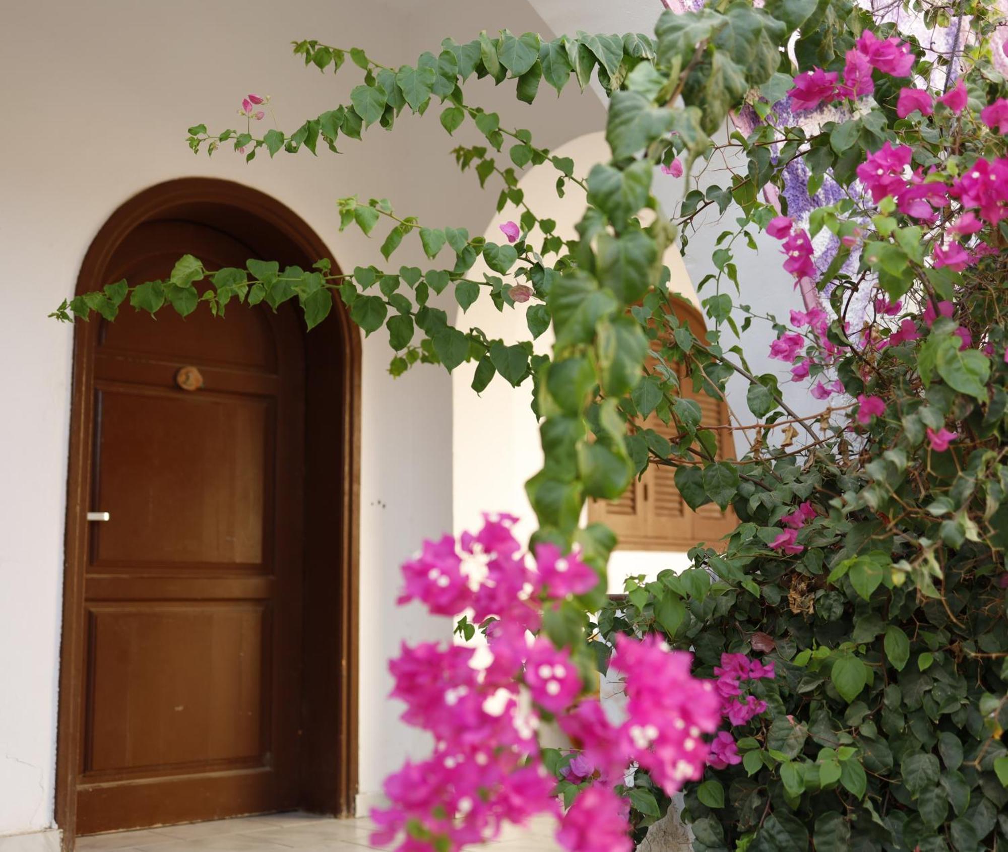 Auberge de jeunesse Nook à Dahab Extérieur photo